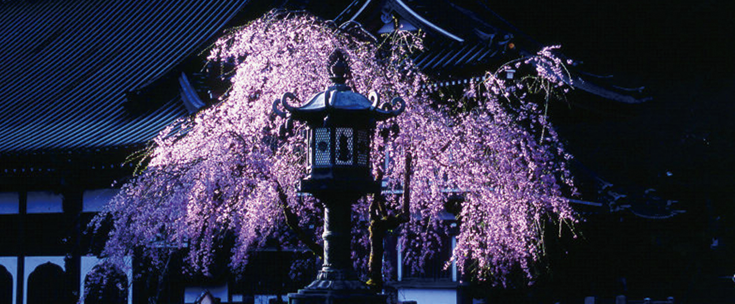 最乗寺あれこれ – 曹洞宗 大雄山最乗寺