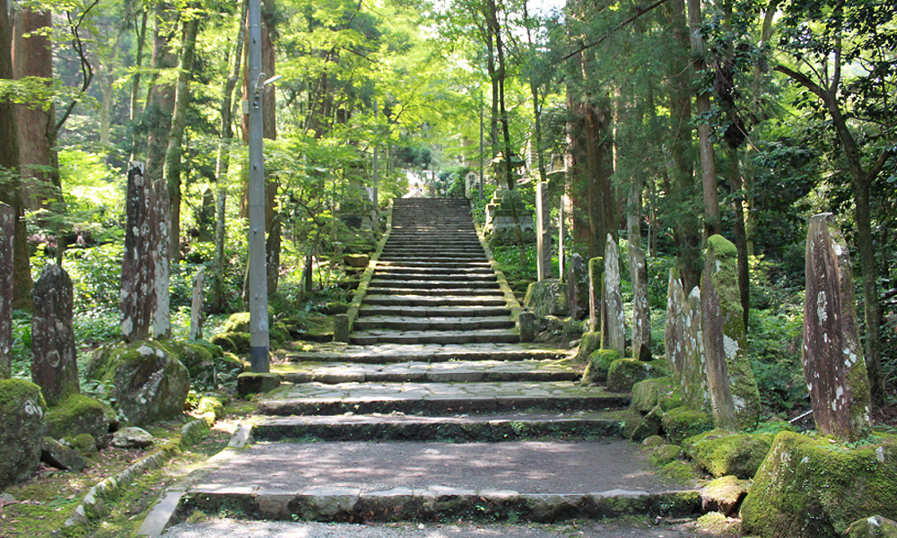 天狗の小径 – 曹洞宗 大雄山最乗寺